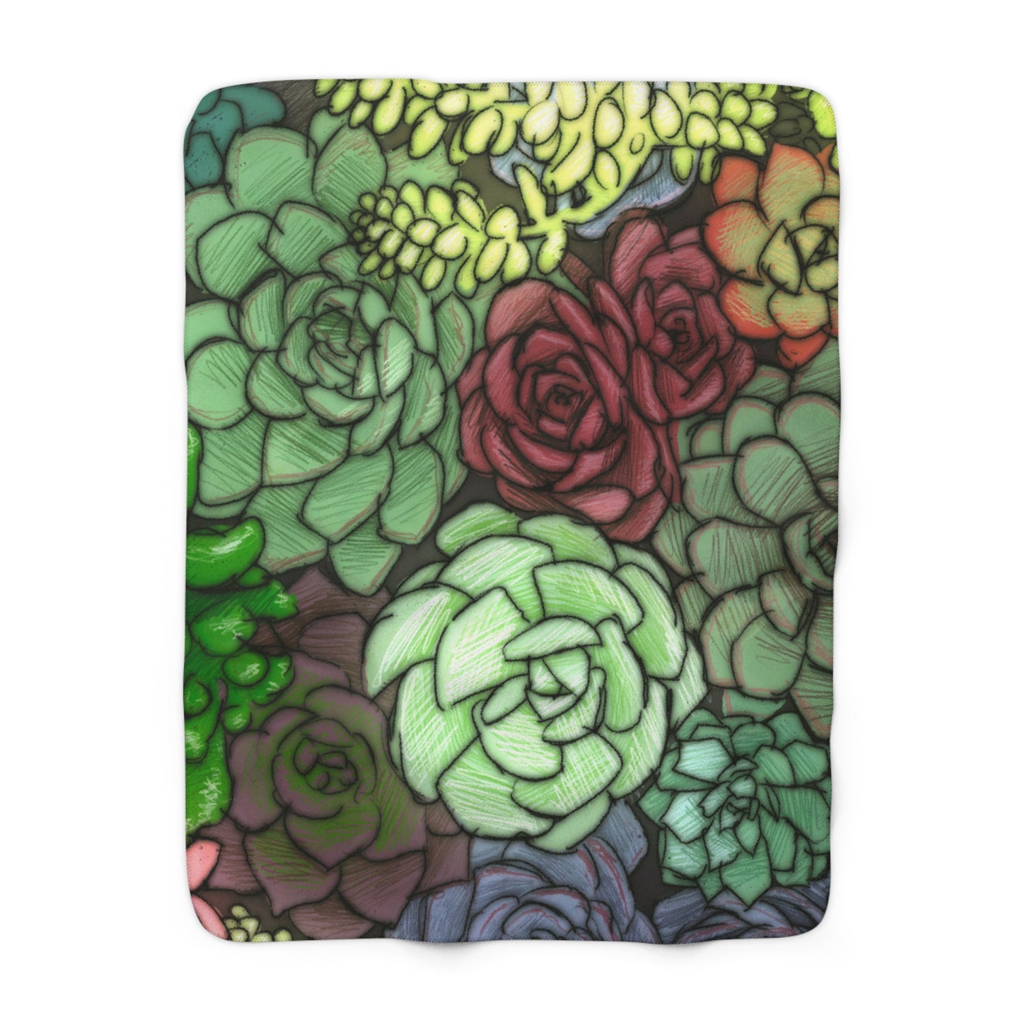 Succulent Illustration Sherpa Fleece Blanket Plant Lover Colorful Throw