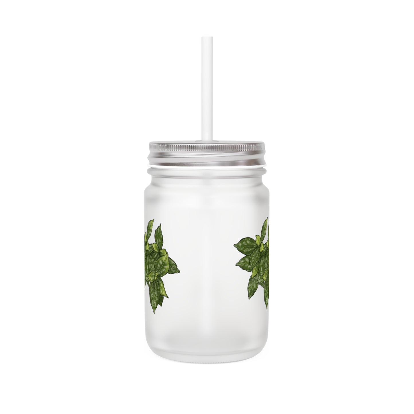 House Plant Mason Jar