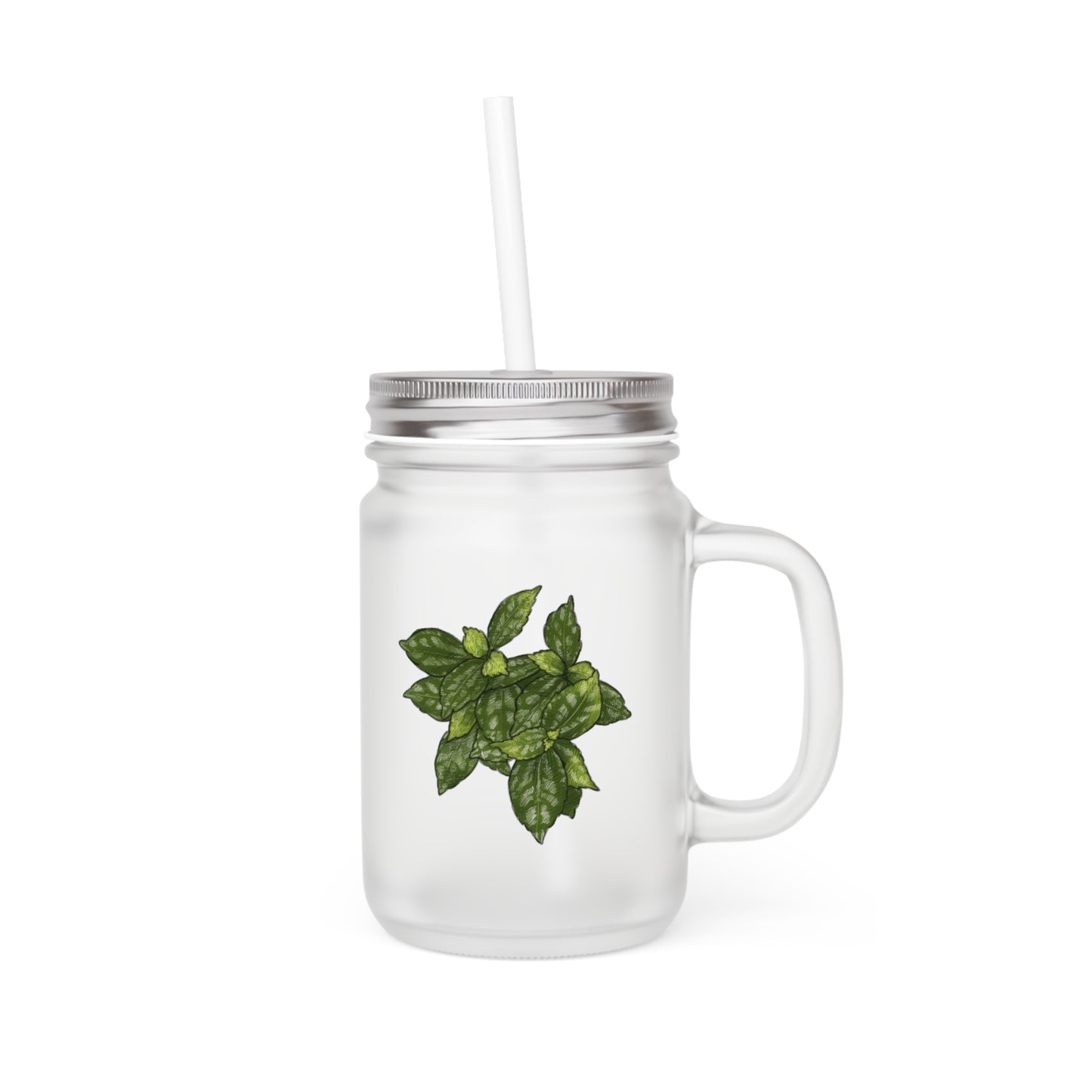 House Plant Mason Jar