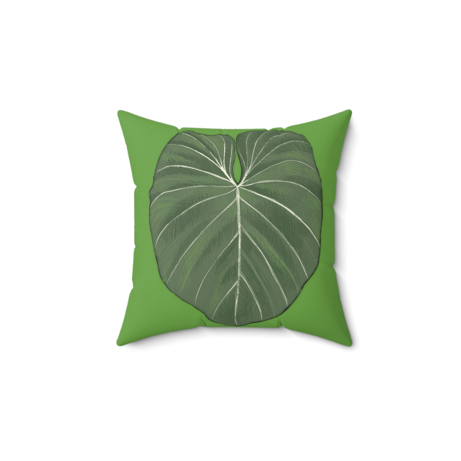 philodendron pillow Philodendron Gloriosum