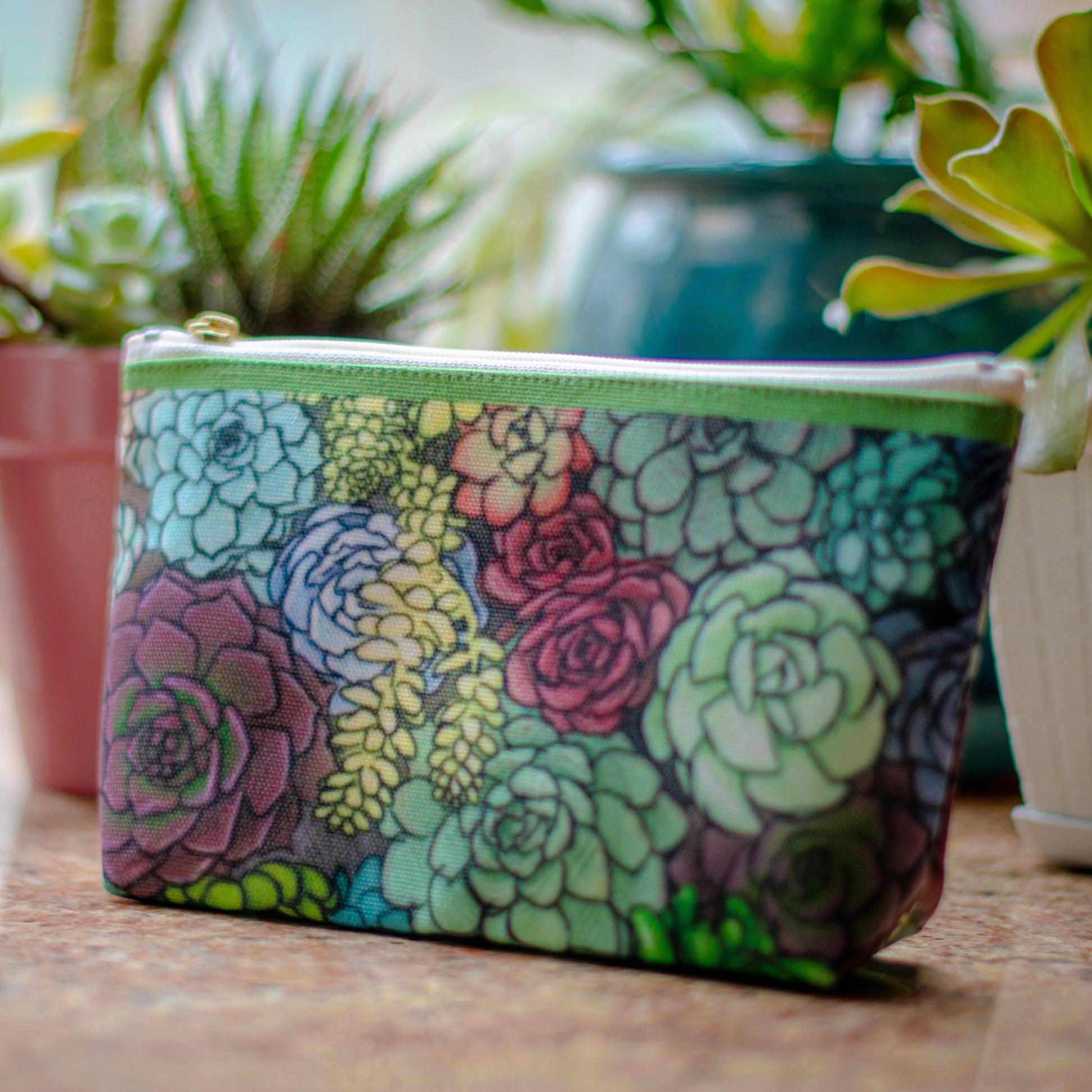 succulent wallet Succulent Illustration